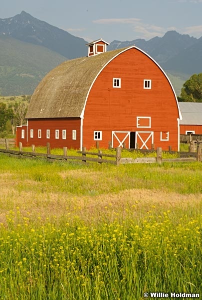 montanabarn070608 1998