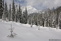 powderlearing021507