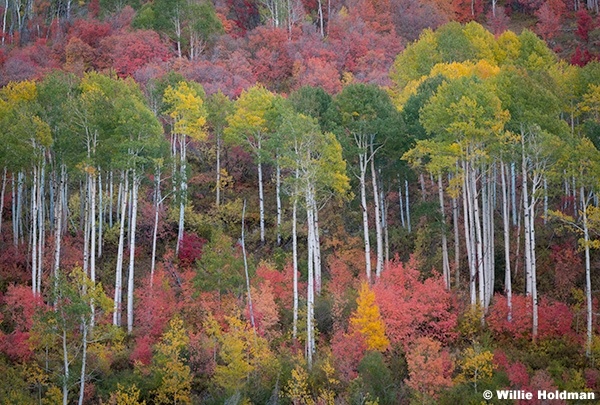 San Rafael Sunset Pan 042420 7586