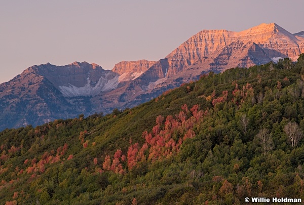 Timpanogos Cirque Color 090920 8254 2