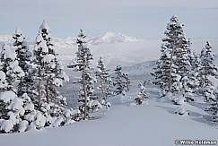 Timpanogos Winter Pines 123015 1770 3