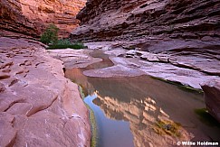 Oljeto Canyon Reflection 050726 7074