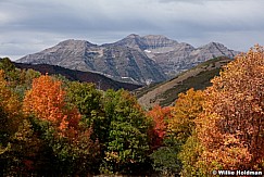Bear Canyon Timpanogos 091012 746