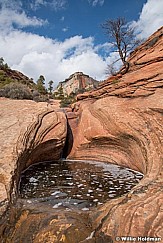 Waterhole Side Canyon Zion 031420