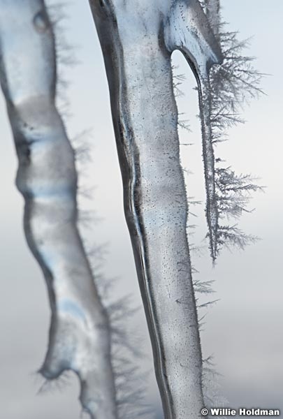 icecrystalsmerge013010 2615