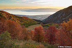 Grove Creek Utah County Autumn 100822 1942