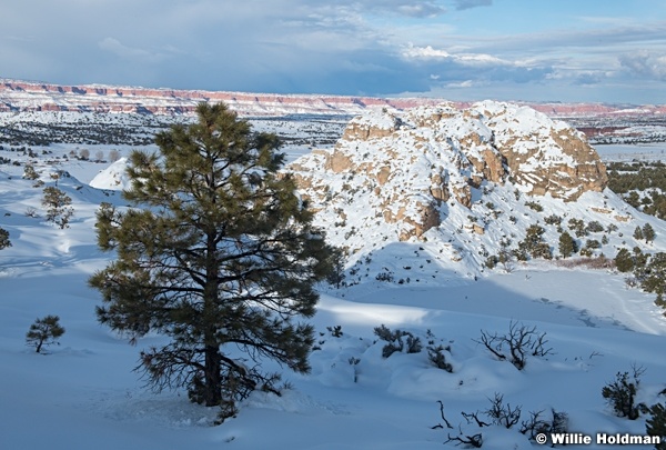 Teasdale Plateau Snow 031724 8128