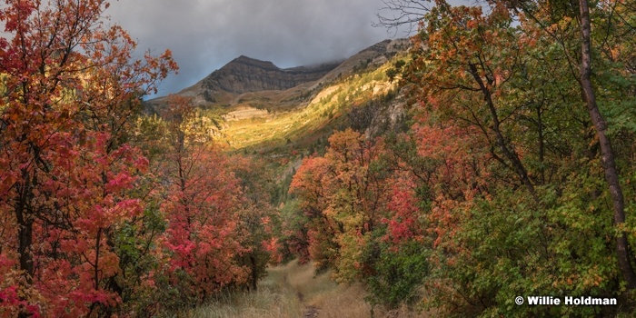 Timpanogos Autumn Pano 091416