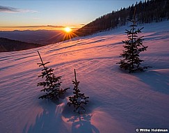 Pine Shadows Sunset 030617 95971