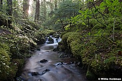 Hood Wilderness Stream 110614 7692 2