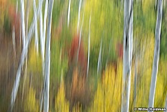 aspenabstract092507 1012