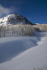 Powderdays012909 11203