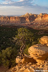 Capitol Reef Landscape 062525 1257 2