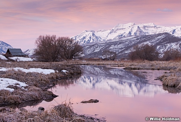 Timpanogos Marsh 030613 308