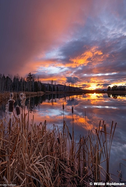 Sunset Timber Lakes 5