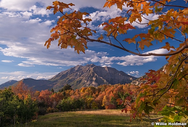 Autumn Maples Timpanogos 091814 6480