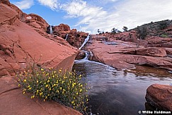 Gunlock Waterfall 041519 3175