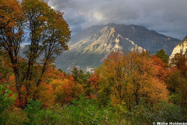 Timpanogos Warm Autumn Light 092226 8294
