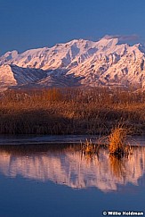 Timpanogos Reflection Vert 020514