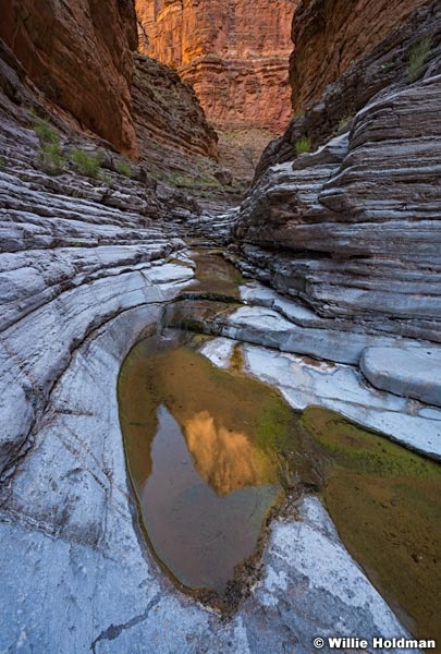 Grand Canyon Pool 042517 7995