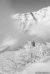Frosty shrubscloudsBW030811 142