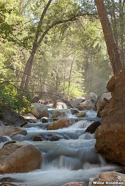 American Fork Stream 063012 151 2