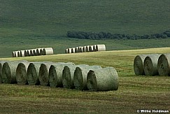 haybails071108 2011