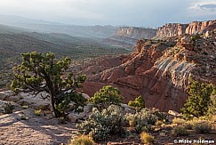 Capitol Reef 052916 9119 9119