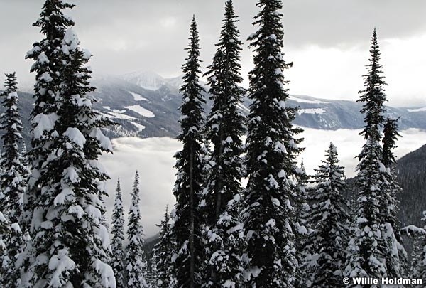 timpanogoswinter021508 0706