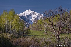 Cascade Spring 051015 2