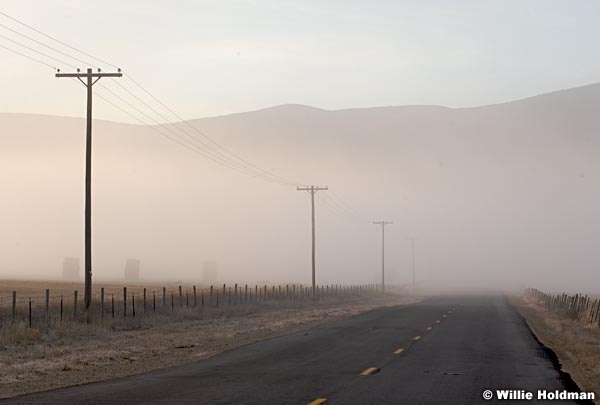 lonelyroad120108