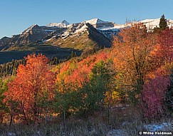 Timpanogos Red Maples Snow 092516 7013