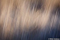 Abstractimpressions101510 6022