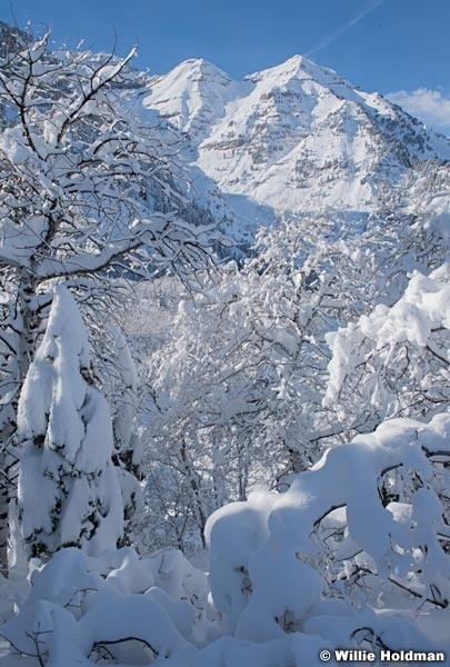 Gobs Of Snow 010723 1017 2