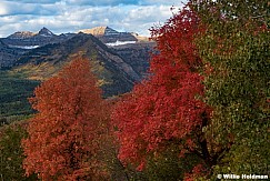 Red maples Timpanogos 092625 0268