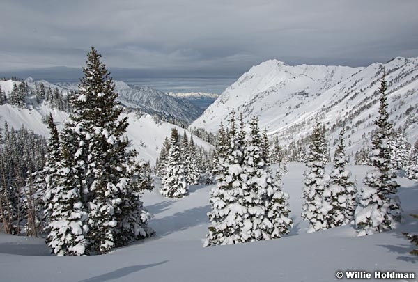 bcskiing050310 0769