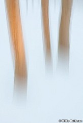 Aspenabstract120310 58