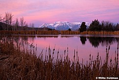 Timpanogos Chidister Pond Sunrise 112625 6433 2