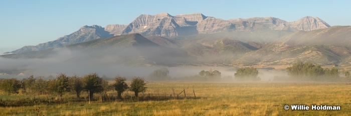 Timpanogosmisthebervalley