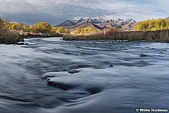 Silvers Provo River Timp 1101157