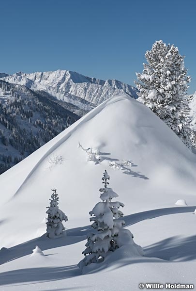 Fresh Snow Grizzly Gulch 111220 1701 3