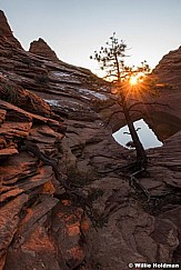 Waterhole Sunburst Tree 111215 2724 2