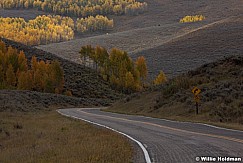 Road Aspens 092612 339