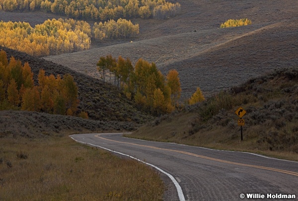 Road Aspens 092612 339
