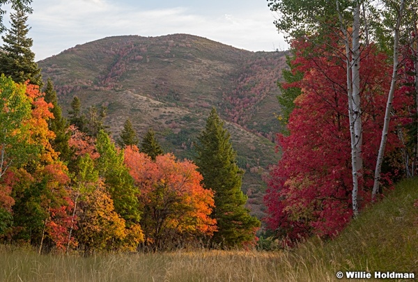 Sundance Autumn Splender 092220 0154 2