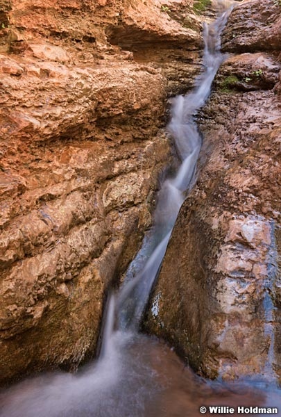 Grand Canyon Saddle Canyon 041116 5909