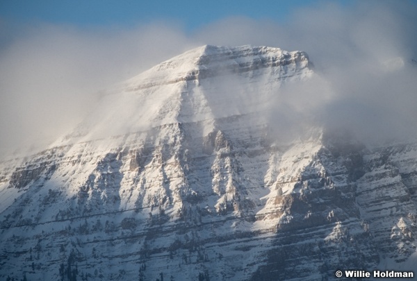 Timp Mist 110624