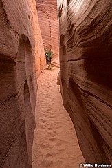 Datura Slot Canyon 060120 7204 2