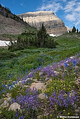 Timpanogos Violet and Blue 071322 3696