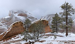 Zion Soft Snow 031912